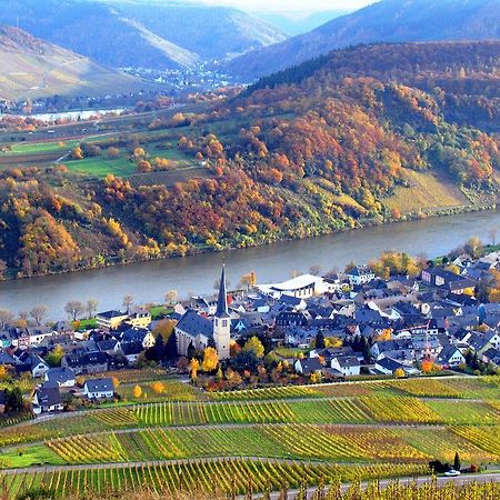 Готель Ferienweingut Rainer Beitzel Креф Екстер'єр фото