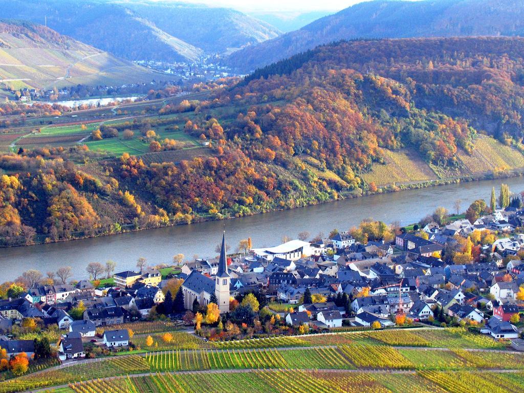 Готель Ferienweingut Rainer Beitzel Креф Екстер'єр фото