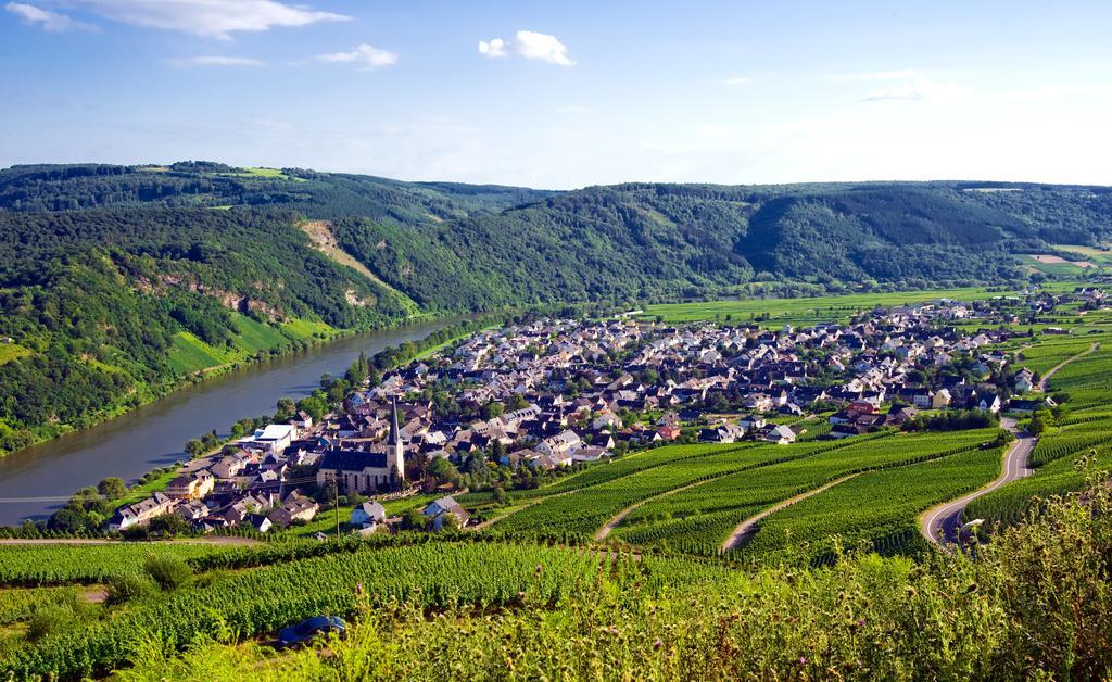Готель Ferienweingut Rainer Beitzel Креф Екстер'єр фото