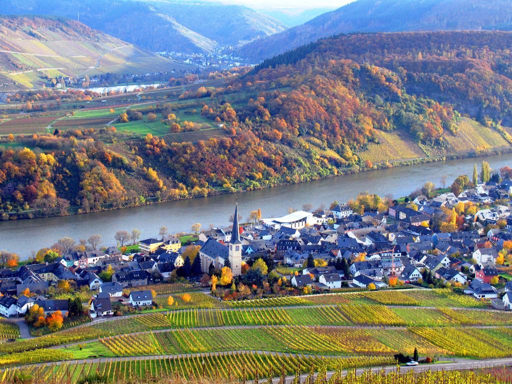 Готель Ferienweingut Rainer Beitzel Креф Екстер'єр фото