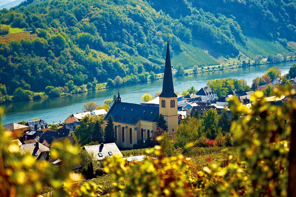 Готель Ferienweingut Rainer Beitzel Креф Екстер'єр фото